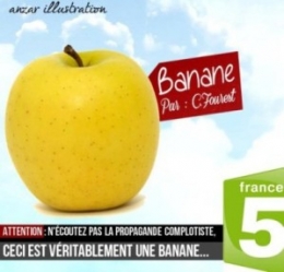 Ceci est vraiment une banane.jpg