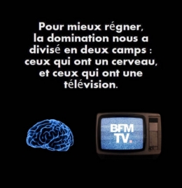 cerveau ou télévision.jpg