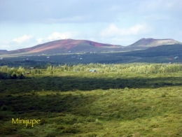 islande,reykjavik,dyrholaey