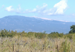 Ventoux.gif