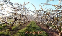 footing,rando,sports,activités,mont du lyonnais,rhone,statistique,actualités