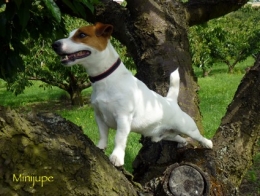 sport,stats,footing,rando,marche a pied,nature,balade,évasion,plein air,activités