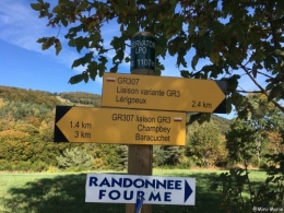 montbrison,loire,fourme