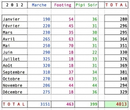 Bilan2012.jpg