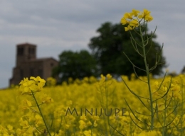 olympus,om-d,photo,hybride,zoom,plaisir