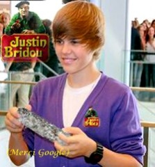 justin bieber,justin bridou,halles de lyon,lyon,people,saucisson,stats,popularité
