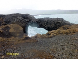 islande,dyrholaey,vik,macareux