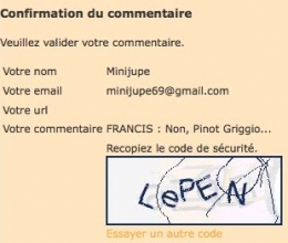 Code-LE-PEN.jpg