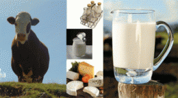 d24e82d0096688507888cc46920a3881.gif