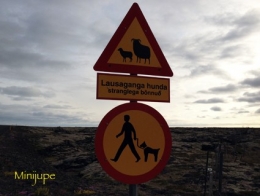 islande,reykjavik,blue lagoon