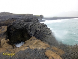 islande,dyrholaey,vik,macareux