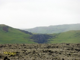islande,dyrholaey,vik,macareux