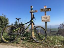 cannondale,jekyll,sport,vtt