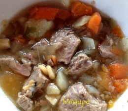 islande,voyage,icelandic soup,requin