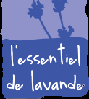 paris,tgv,montmartre,bastille,lavande,place du tertre,rencontre