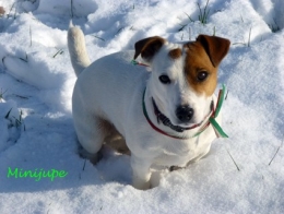 sports,stats,marche à pied,footing,rando,nature,dalton,plaisir,évasion