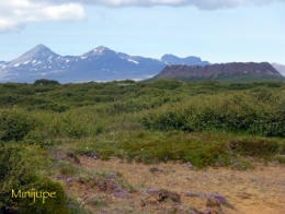 islande,reykjavik,eldborg,snaefellsjokullvolcan