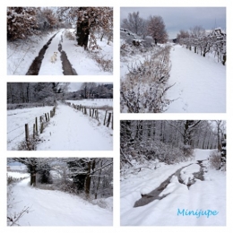 Neige.jpg