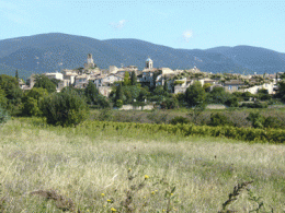 P1020531.gif