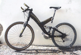 Raven4000.gif