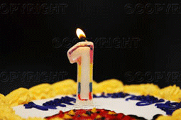 gateau.gif