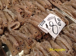 venise,rialto,mercato,italie,poisson,seiche