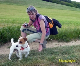 bilan,stats,sports,footing,course à pied,rando,activités,nature,jack russell,plaisir,évasion