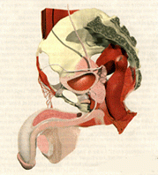 2f816d6baf3592b844bc7c15dc307b23.gif