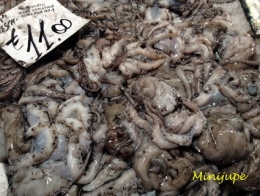 venise,rialto,mercato,italie,poisson,seiche
