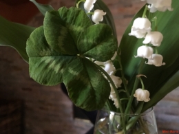 1er mai,muguet,fête