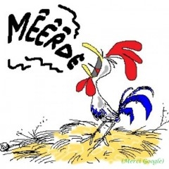 Coq.jpg