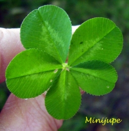 vendredi 13,super loto,euromillion,chance