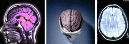 e3495e7c2bcf4da2210c3311ff3bdbb0.gif