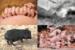 012b6233a9a21ba013d37f5846c7bf22.gif