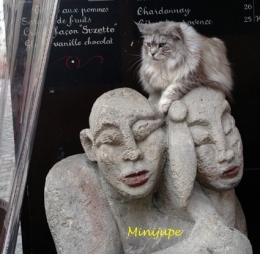 paris,tgv,montmartre,bastille,lavande,place du tertre,rencontre
