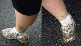 1292022926.gif