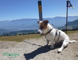 autrans,crète molière,refuge feneys,isère,vercors,rando,soleil