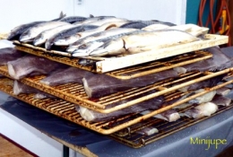 islande,voyage,icelandic soup,requin,3 frakkar