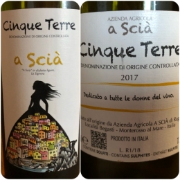 scia,italie,cinque terre