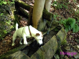 autrans,crète molière,refuge feneys,isère,vercors,rando,soleil