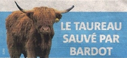 Taureau.jpg