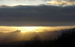 P1020820.jpg