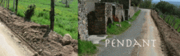 1498379228.gif