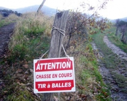 Chasse.jpg