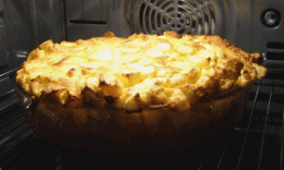 P1020629.gif