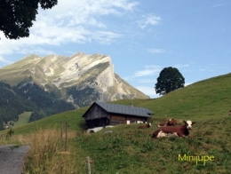 col des aravis,haute-savoie,roblechon,montagne,mont-blanc