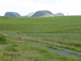 islande,gullfoss,geysir,pingvellir
