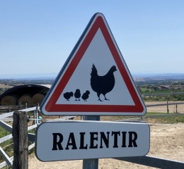 humour,panneau,campagne