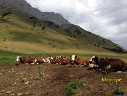col des aravis,haute-savoie,roblechon,montagne,mont-blanc