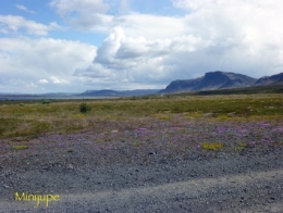 islande,reykjavik,eldborg,snaefellsjokullvolcan